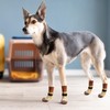 PUPTECK Anti Slip Dog Socks, Shoes with Grippers to Prevent
