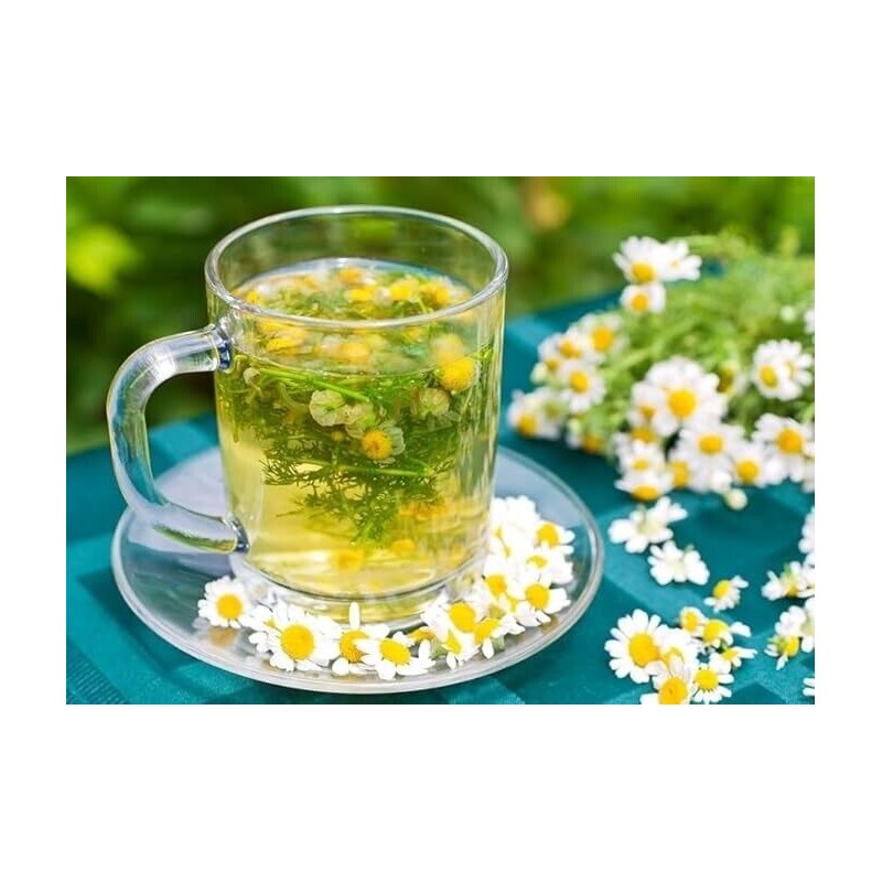 B-Experts CHAMOMILE FLOWER TEA 4 oz | TE FLOR DE