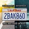 Back to The Future | 2BAK860 | Metal Stamped License