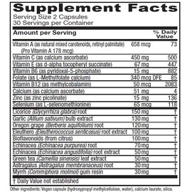 Vitanica Immune Symmetry, Immune Support, Vegan, 60 Capsules