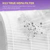 XBWW 2 Packs AP100-A Air Filter Compatible with AromaRoom AP100-A