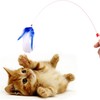 Pai Sence 12pcs Cat Feather Toys with Bells Blue for