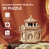 RoWood 3D Wooden Puzzles for Adults, Music Box Brain Teaser