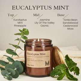 Eucalyptus Mint Candles for Home Scented Aromatherapy Candle Gift Set for Women Soy Wax Long Lasting Amber Jar Candles Gift for Birthday Mother's Housewarming Valentine