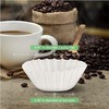 Narrow Fast Flow Decanter Style Coffee Filter Plexon, 9 3/4"