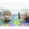 Small EVA Foam Puzzle Floor Play Mat Pets Feeding Box