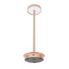 Rechargeable LED Table Lamp 2000mAh Cordless Battery Operated Metal Bedside