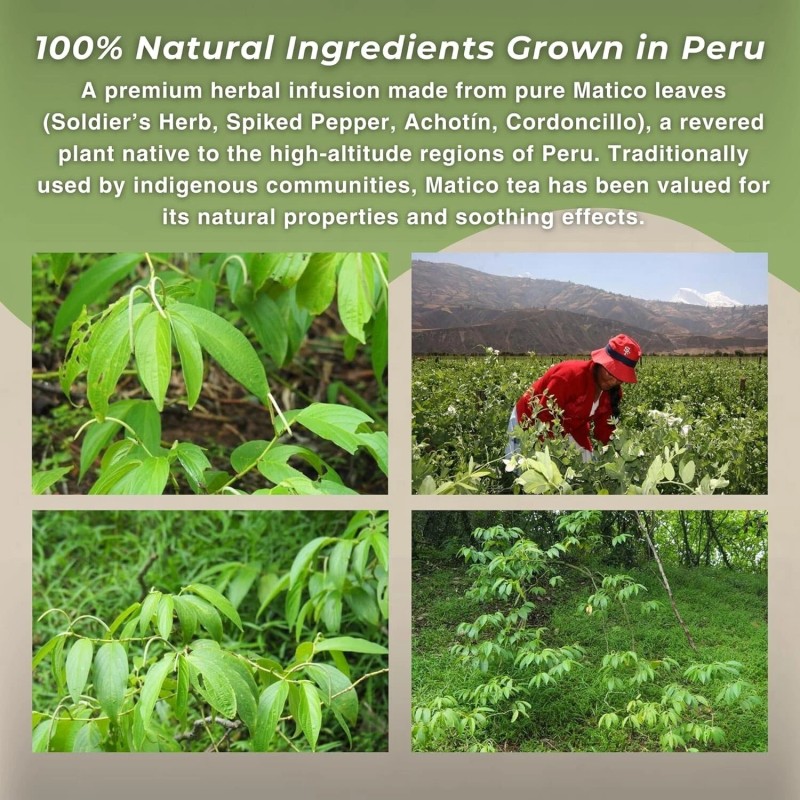 Hanan Matico Loose Leaf Tea Soldier's Herb - All Natural