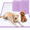 Gimars XXL 30“x36” Thicken 6 Layers Ultra Absorbency Dog Pee