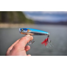 Esca di pesca esca d'élite, 1, 146593