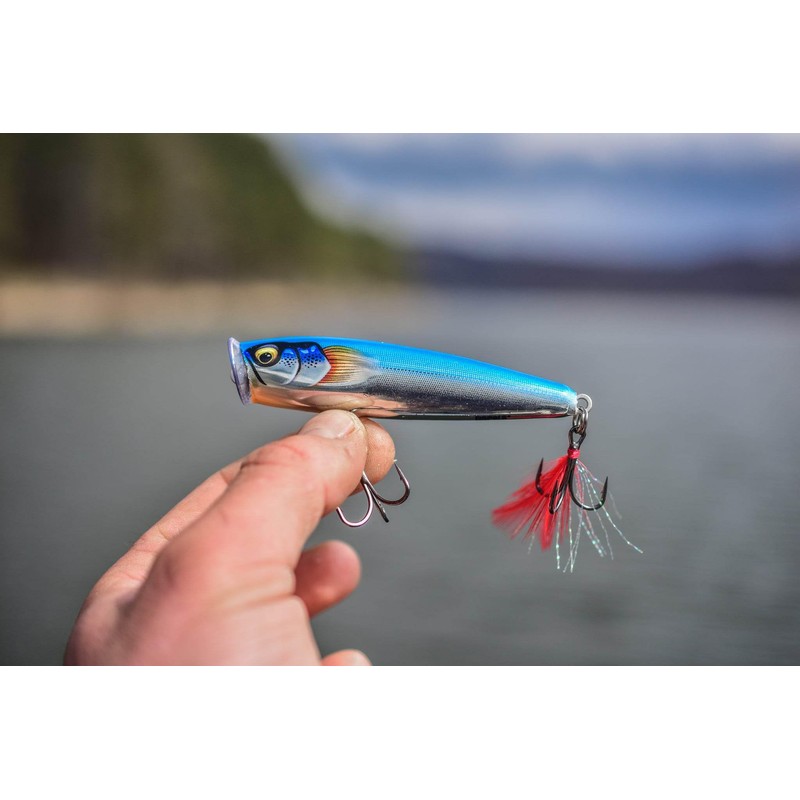 Esca di pesca esca d'élite, 1, 146593