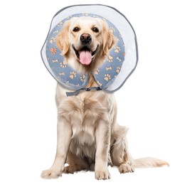 Inflatable Dog Cone Collar, Adjustable Size Soft PVC 2-in-1 Dog Donut Collar After Surgery with Detachable, Inflatable Collar for Small Medium Large Dogs and Cats (Grey, XL)