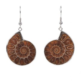 Justinstones Natural Ammonite Fossil Earrings