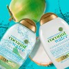 Organix Coconut Water Conditioner 385 ml