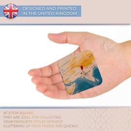 Destination Vinyl ltd Fridge Magnet - New Delhi World Map n 21937