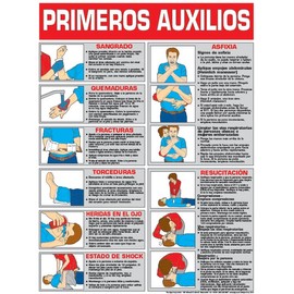 First Aid 18" X 24" Laminated Poster Spanish Version (24" x 36")