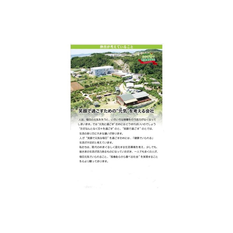 仲善 春うっちん粉 袋入 200g