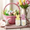 Kederwa Easter Basket Essentials Stuffers for Adult Teens, 16OZ Bunny