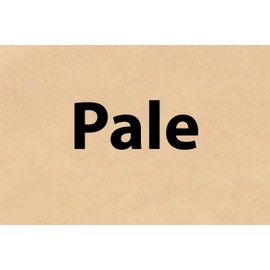 Hide Ink Temporary Tattoo Cover Up 4" x 6" - PALE COLOR (5-Pack)