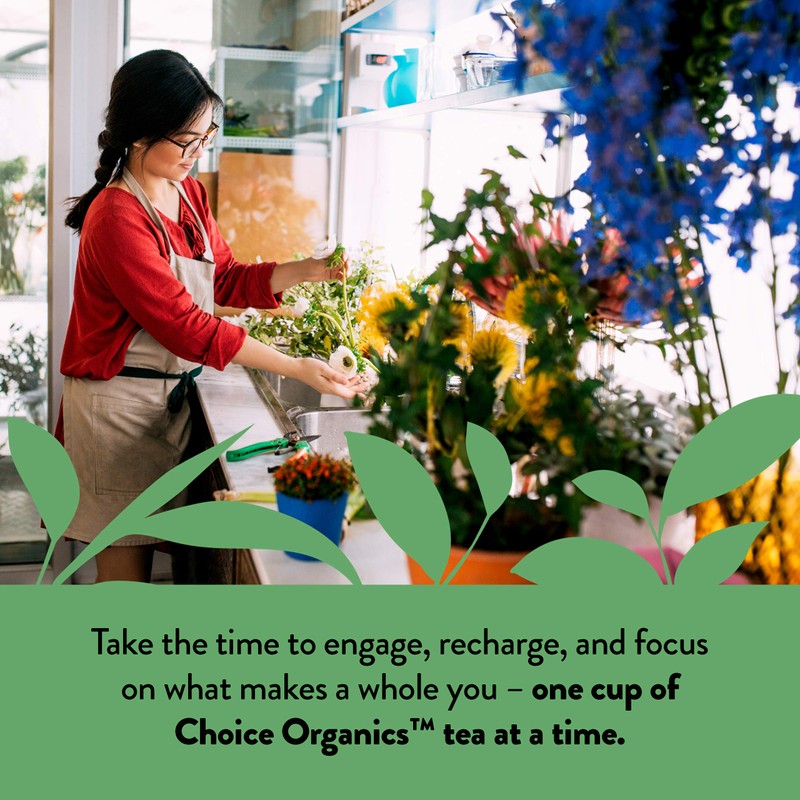 Choice Organic Teas Japanese Green Tea - Compostable - Contains
