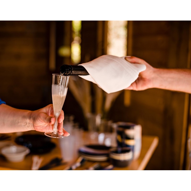 Abena Gastro Plastic Champagne Flutes | Pack of 12 |