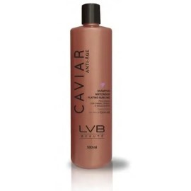 Lv Beaute Shampoo Matizador Platino Sublime 500ml
