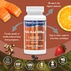Folic Acid (Vitamin B9) 400mcg | 360 Tablets = Up