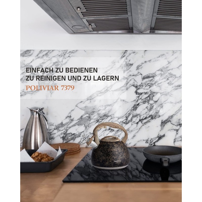 Poliviar JX2018-MS20-DE modern induction kettle, stainless steel whistling kettle, tea