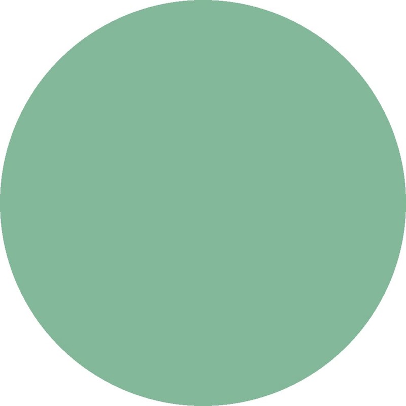 PREGEL Muse PGU-S194 Color Gel, China Green, 0.1 oz (3