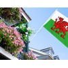 3×5 FT Welsh Flag, Large 100D Wales Dragon National Outdoor
