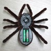 Funny Creepy Soft Scary Plush Spider Infrared Remote Control Tarantula