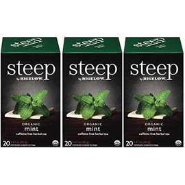 steep Organic Mint Caffeine Free Herbal 20 Count Box (Pack of 3), Certified Organic, Gluten-Free, Kosher Tea in Foil-Wrapped Bags