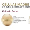 Terramar cellular strength system Cream For Day And Night. Célula