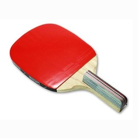 Table Tennis Penholder Racket with Integrated Rubber B10