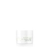 Charlotte Meentzen - Herbal Vitamin Night Cream - 50 ml