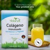 Vidanat Colágeno Hidrolizado Puro con Vitamina C y Magnesio -