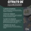Creatina Monohidratada 1kg + Citrato De Magnesio 500mg
