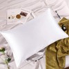 Adubor Silk Pillowcase for Hair and Skin with Hidden Zipper,