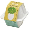 Seishin Pottery Egg Ring, Eco Four-Leaf Clover, Size: Approx. W3.0