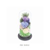Offering Glass Dome Glass Dome Shizuki