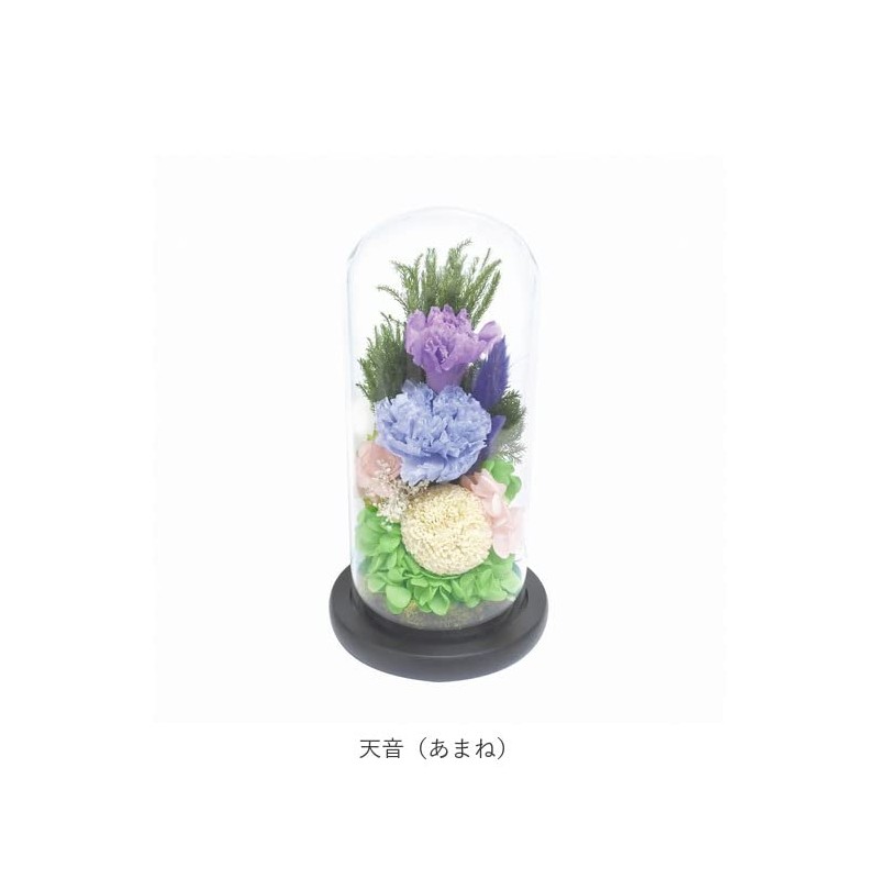 Offering Glass Dome Glass Dome Shizuki