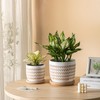 POITONRU Ceramic Flower Pots Indoor-Outdoor: 5.75 Inch Planters with Drainage