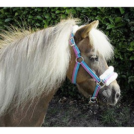 Rhinegold Bright Striped Fur Trim Small Pony Headcollar Turquoise Stripe