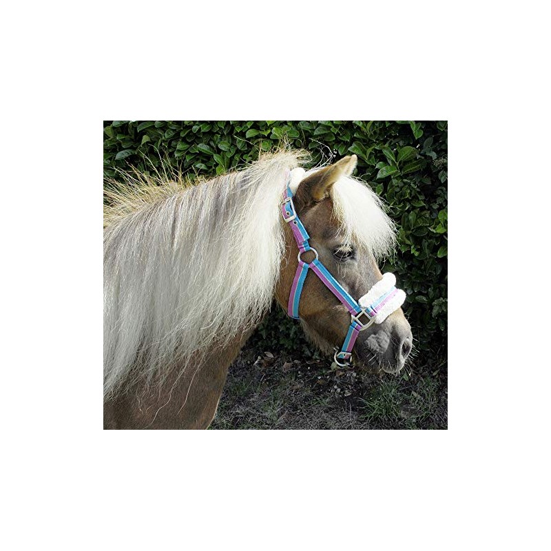 Rhinegold Bright Striped Fur Trim Small Pony Headcollar Turquoise Stripe