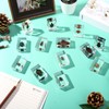 16 Pcs Ladybug Insect in Resin Specimen Butterfly Bugs Collection