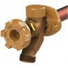 Woodford 17CP-8-MH Model 17 Wall Faucet, 8-Inch, CP Inlet, Metal