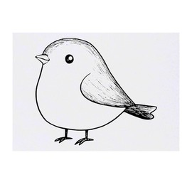 'Cute Fat Bird' Temporary Tattoo - Water Resistant, Skin-Safe, Non-Toxic Transfer (TO00082175)
