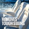 Bioesque Marine Mold & Mildew Stain Remover, 32 Fluid Ounce