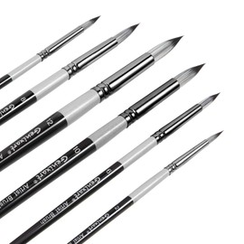 Round Pointed Tip Paint Brushes Set, 6 Pcs Artist Paintbrushes for Acrylic Oil Watercolor Gouache Painting, Premium Nylon Hair Art Paint Brush for Beginners and Professionals