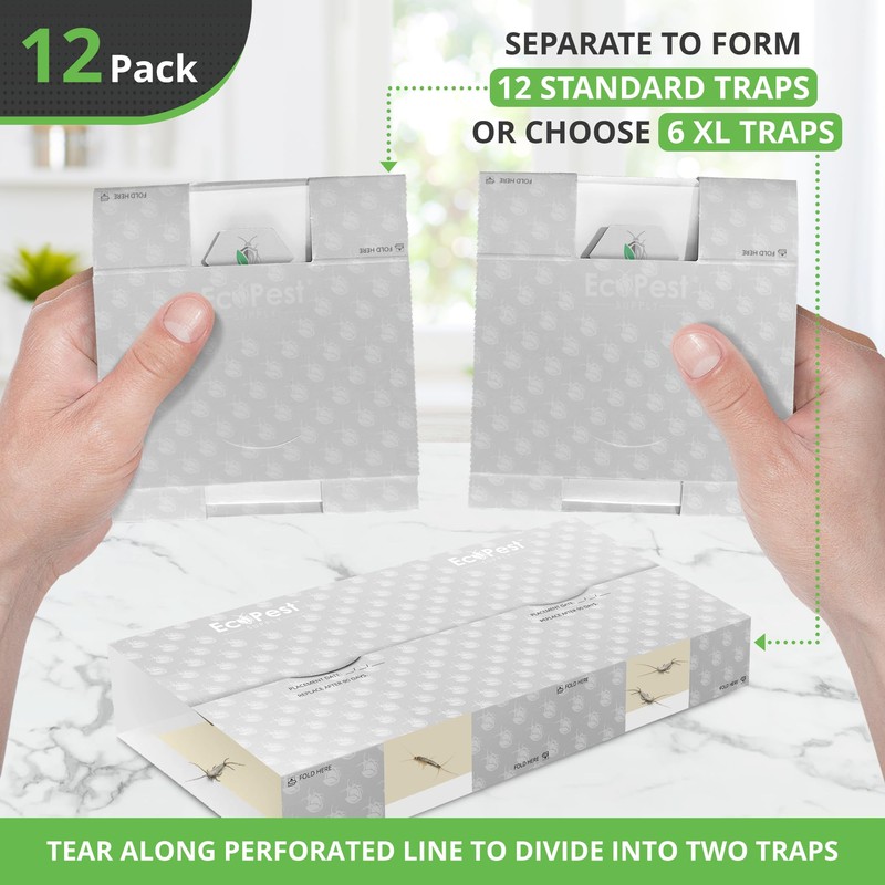 Silverfish Trap — 12 Pack | Sticky Indoor Glue Trap